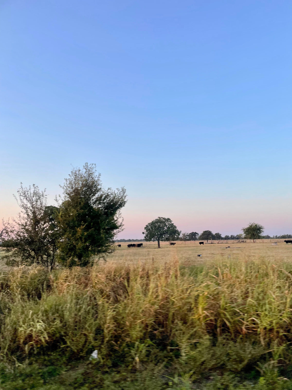 Round Top, Texas with MFM
